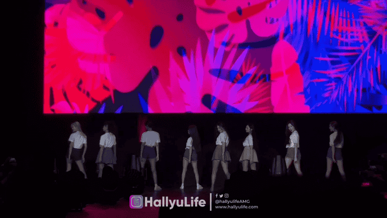 [20190125] HAVANA – MOMOLAND LIVE PERFORMANCE FANCAM in MANILA by HallyuLife (2K)
